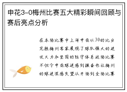 申花3-0梅州比赛五大精彩瞬间回顾与赛后亮点分析