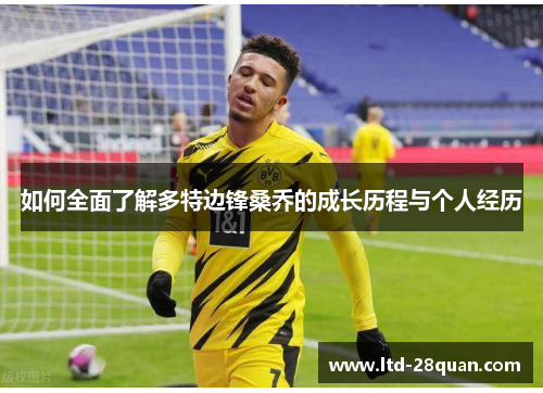 如何全面了解多特边锋桑乔的成长历程与个人经历