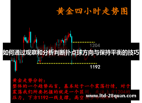 如何通过观察和分析判断扑点球方向与保持平衡的技巧