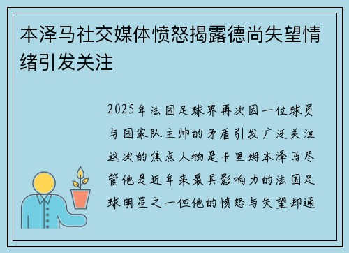 本泽马社交媒体愤怒揭露德尚失望情绪引发关注